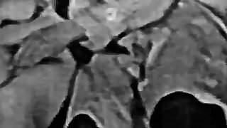 Adventures of Christine