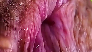 The Highest Quality 18 Y.o. Anal and Pussy Close up Video You Have Ever Seen!